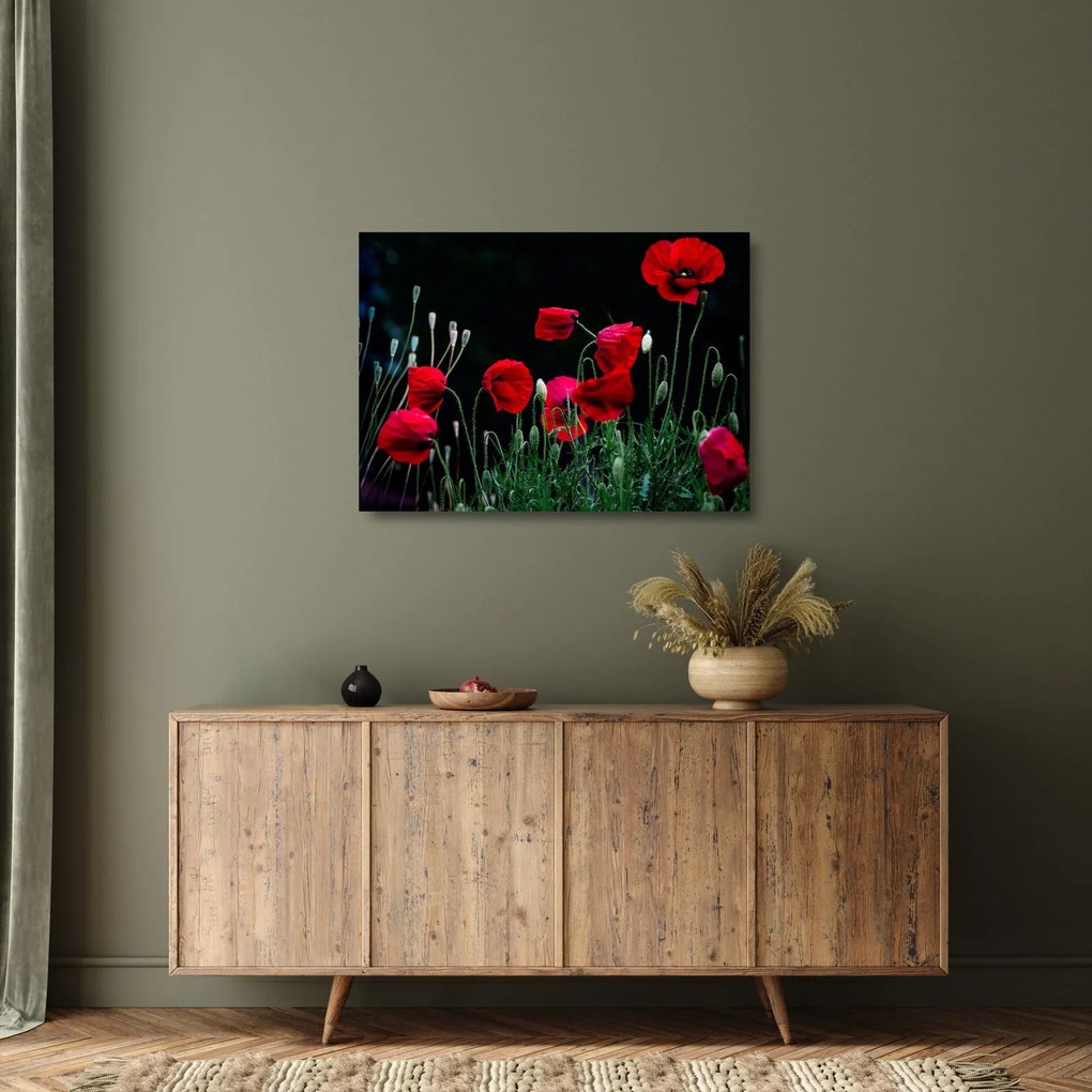 Kép - Pipacsok tánca (üvegen) (70x50 cm)