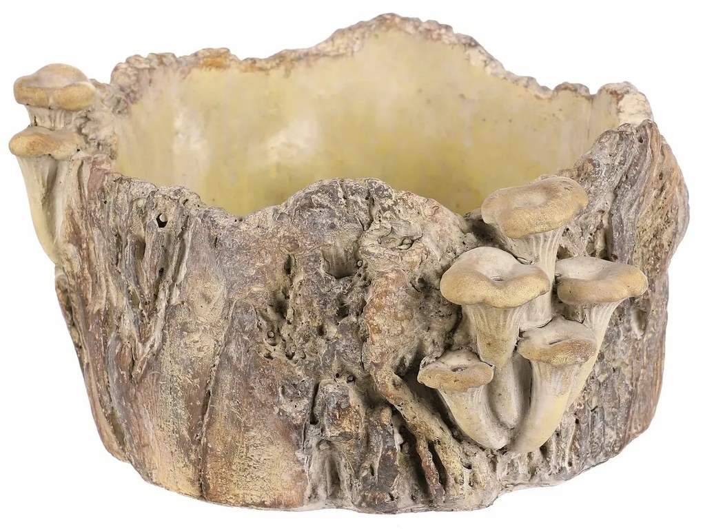 Beton burkolat - tusk with mushrooms, 26 x 24 x 14cm, 26 cm