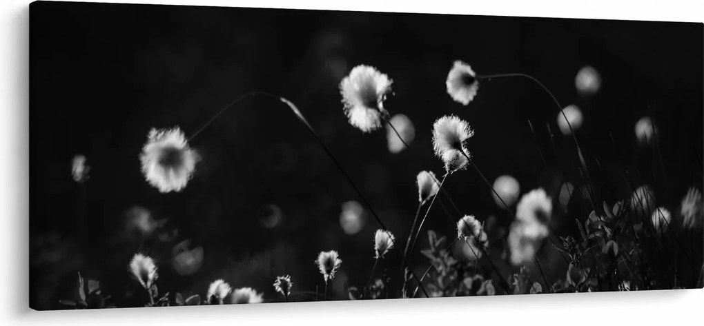 Kép - Gyapotfűvel borított rét N⁰1 (120x50 cm)