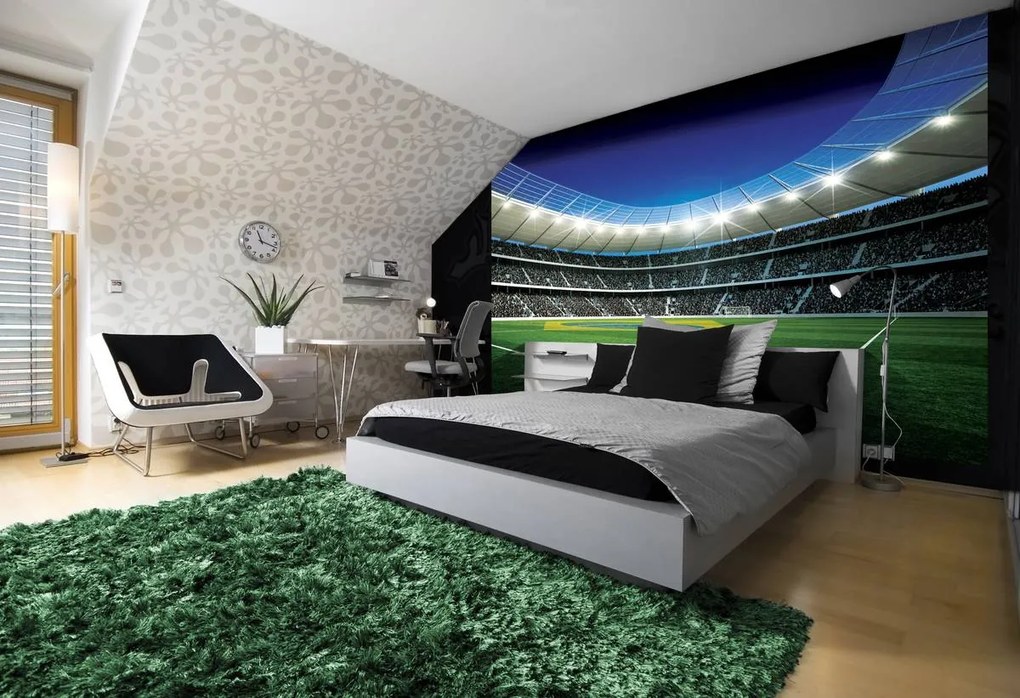 Fotótapéta - Futballpálya (254x184 cm)