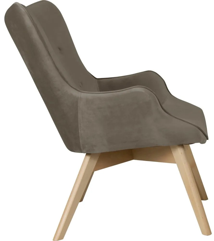 Világosbarna bársony fotel Niko – Ropez