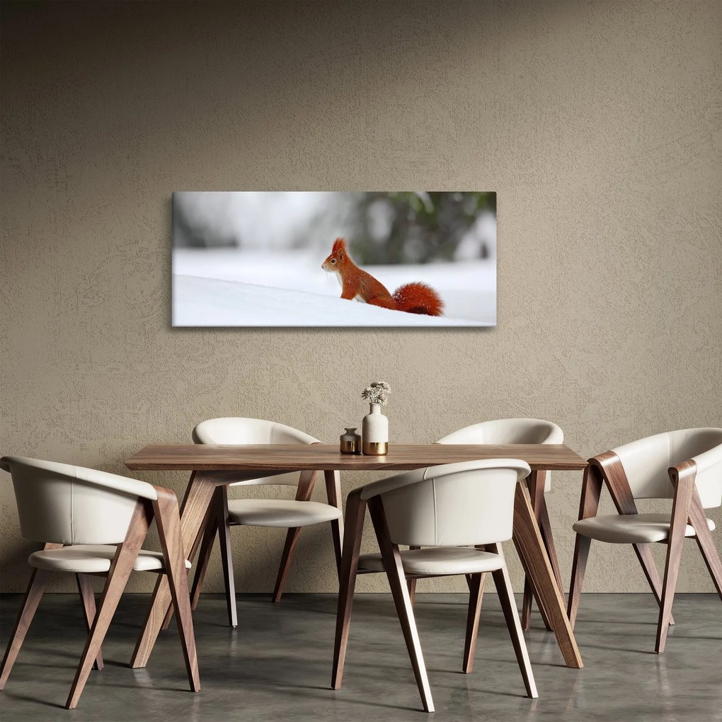 Egy mókus képe (120x50 cm)