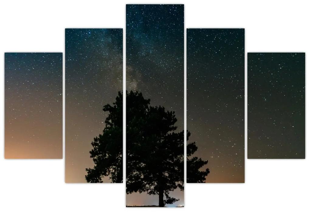 Egy éjszakai égbolt fákkal képe (150x105 cm)