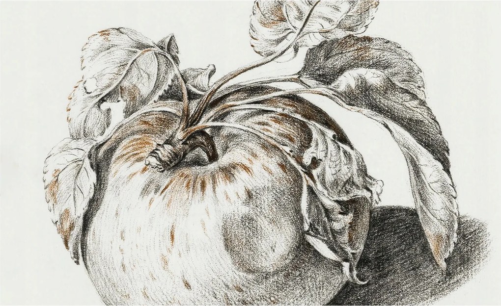 Fotótapéta Flizelin tapéta Hálószoba és Nappali Alma levelek 416x254