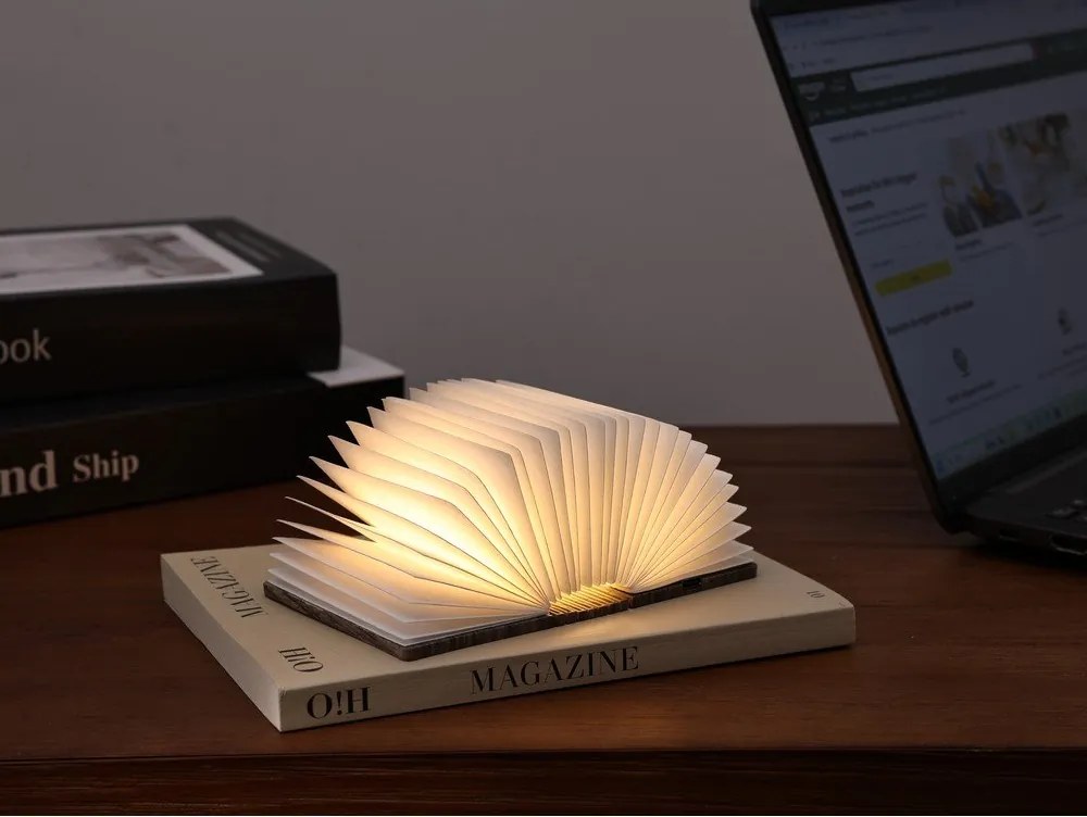 Fekete USB hordozható fénydekoráció BookLight – Gingko