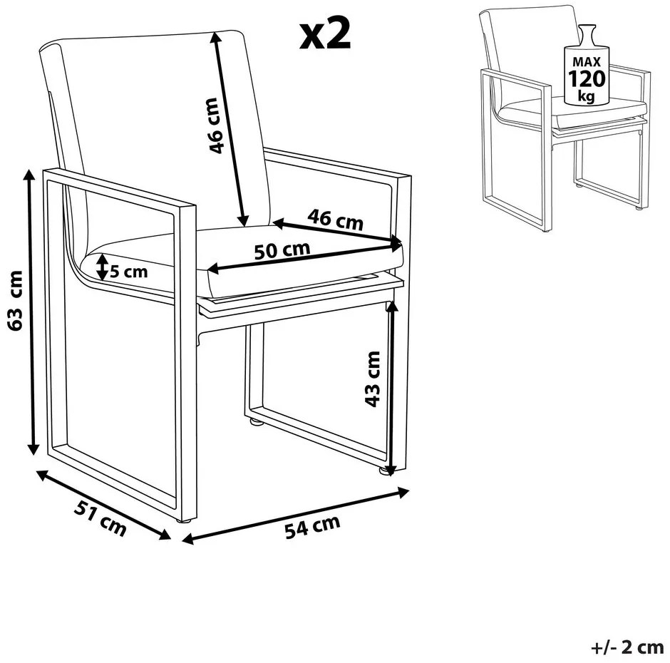 Szék szett 2db Paole (szürke). 1011537