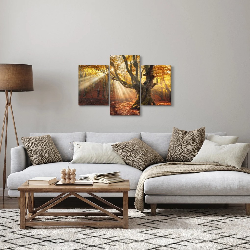 Kép - Őszi fény (90x60 cm)