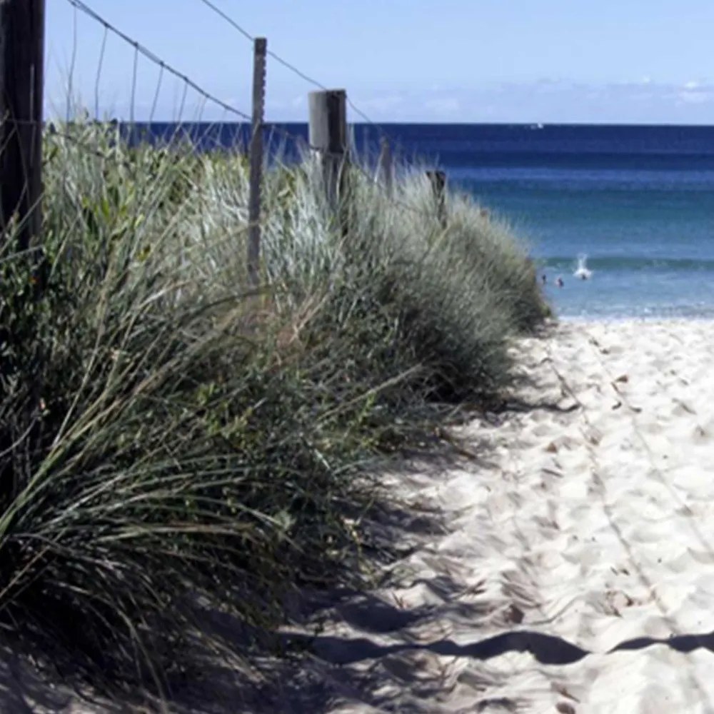 Gario Paraván Út a dunéken keresztül Méret: 110 x 170 cm, Kivitelezés: Klasszikus paraván