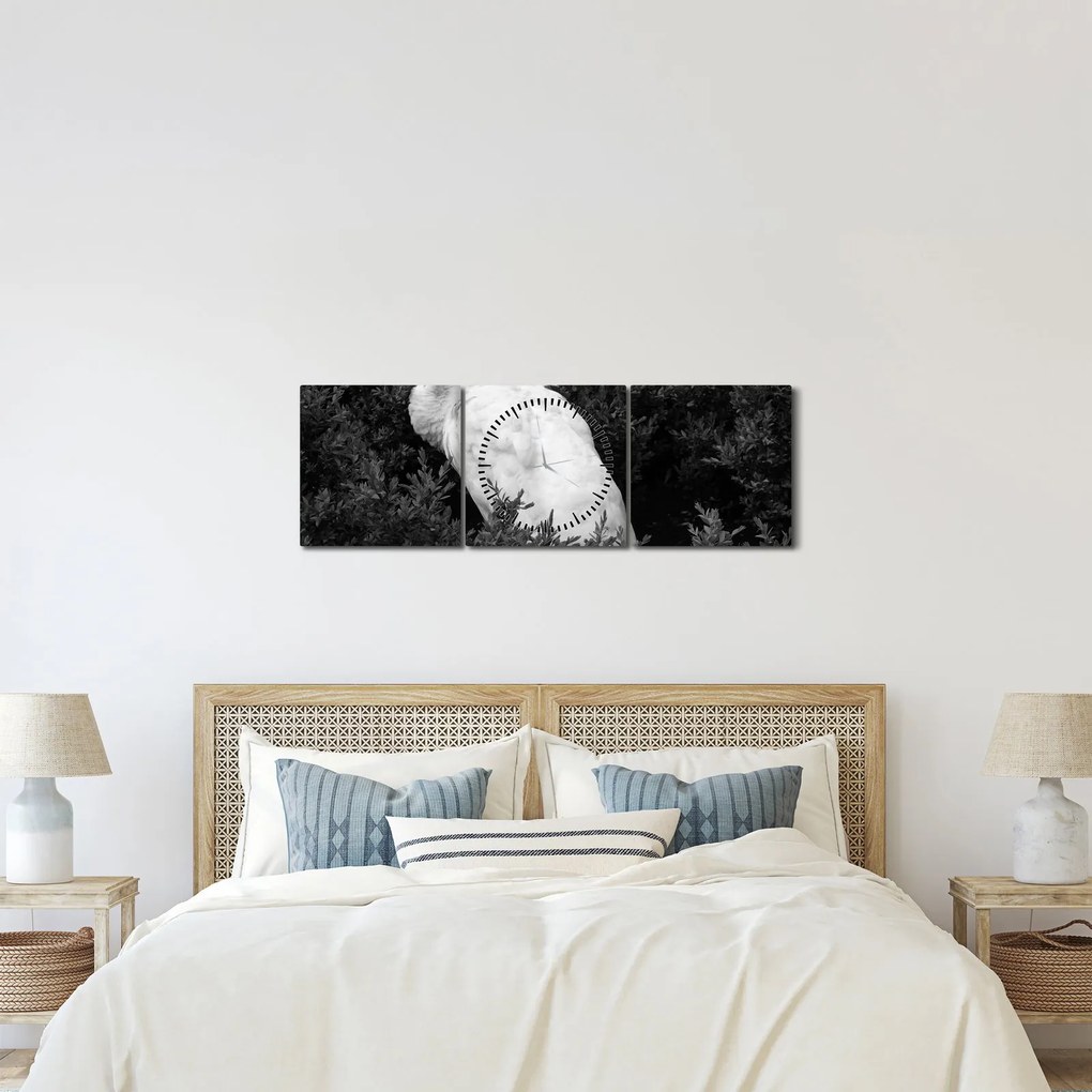 Kép - Páva, fekete-fehér (órával) (90x30 cm)