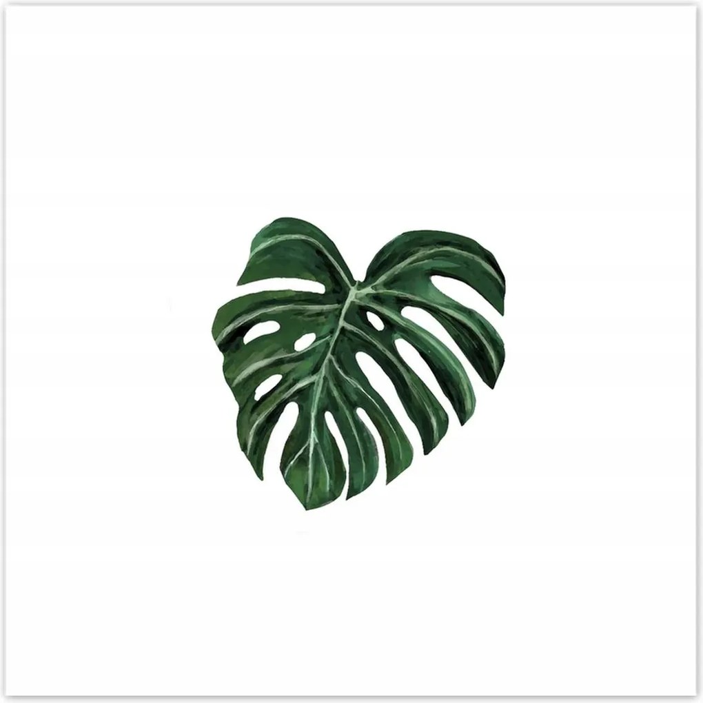 Poszterek 140x140 Monstera deliciosa Levél