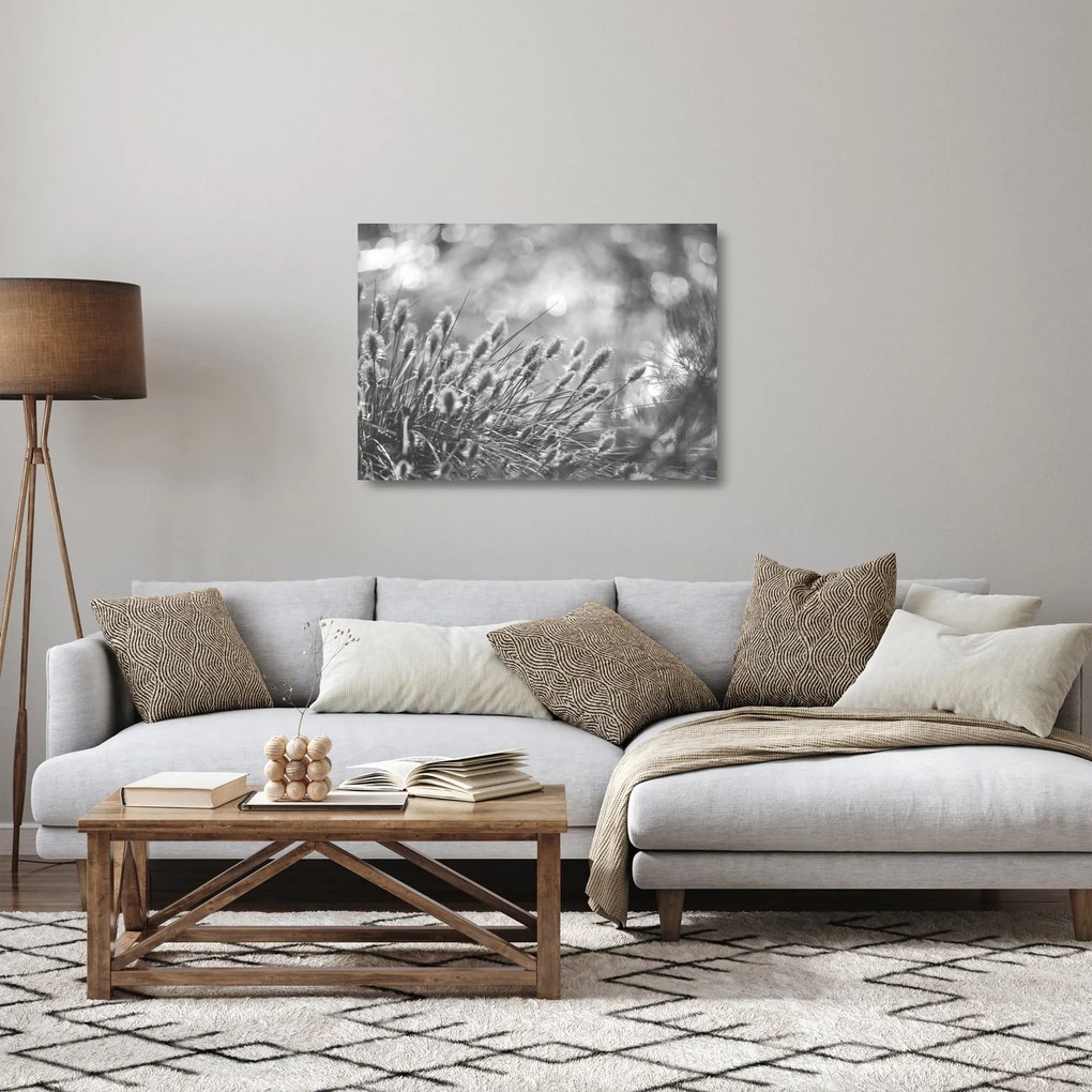 Üveg kép - Bézs színű puha fű N⁰1 (70x50 cm)