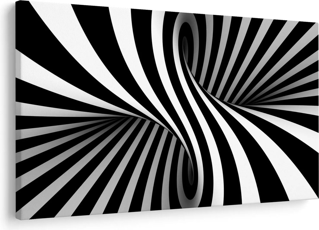 Absztrakt kép zebra csíkokkal (90x60 cm)