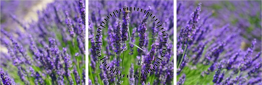 Kép - levandula (órával) (90x30 cm)