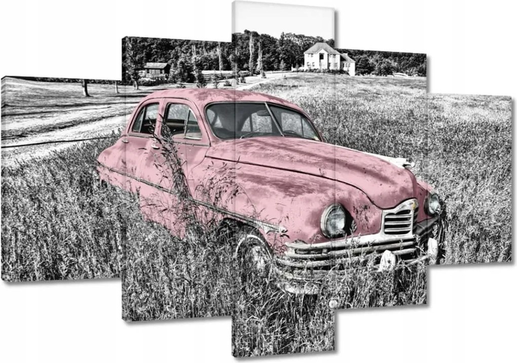 Vászonkép 120x80 Rózsaszín nagymama Antik