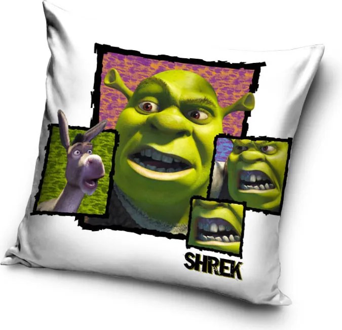 Shrek Fury párnahuzat 40x40 cm Velúr