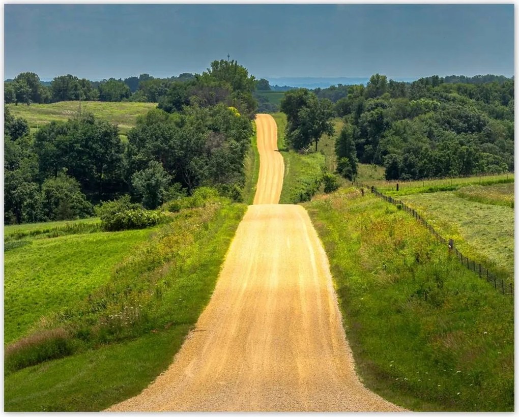 Poszterek 50x40 Út Rét Mező Erdő