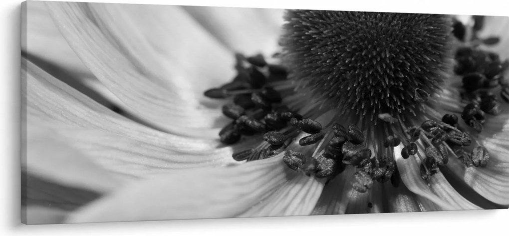 Kép - Virág fekete-fehérben (120x50 cm)
