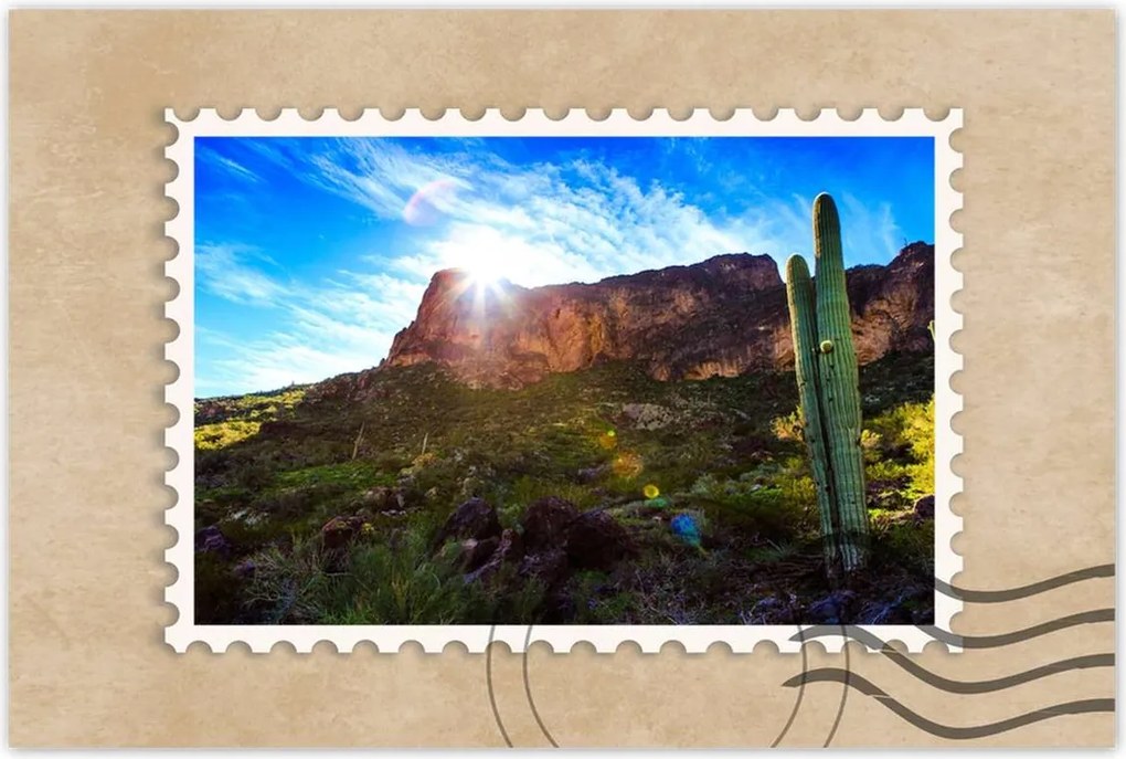 Poszterek 60x40 Tájkép kaktuszokkal