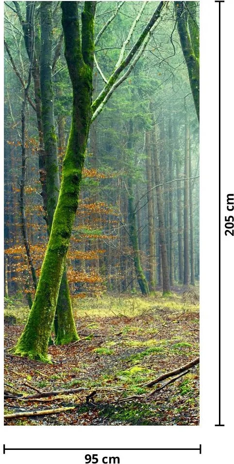 Fotótapéta ajtóra - Erdő (95x205cm)