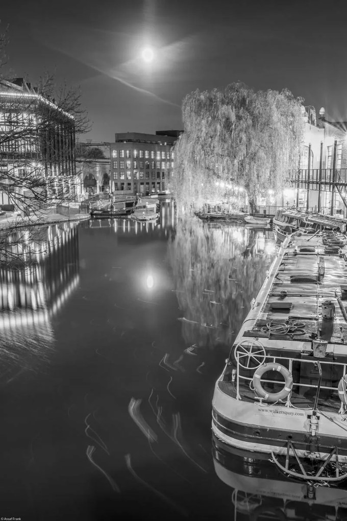 Poszter 30x45cm Uszály a Regent's csatornán, Assaf Frank