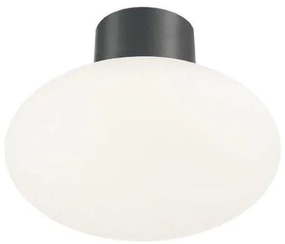Ideal Lux kültéri mennyezeti lámpa CLIO 1xE27/42W/230V IP44 antracit