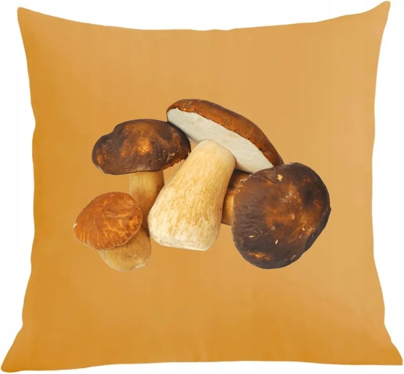 Párna+párnahuzat Ajándék gombászoknak