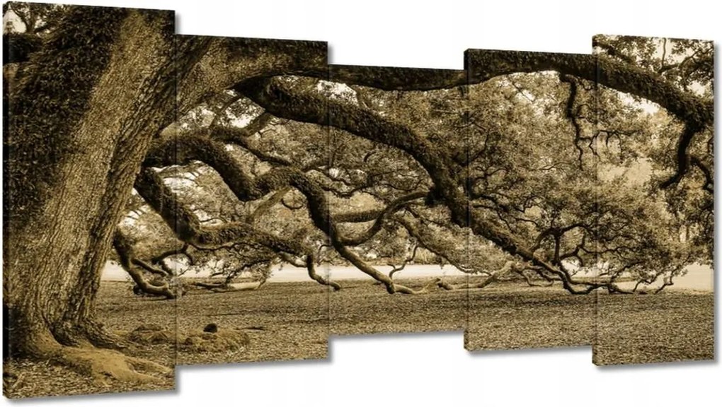 Festmények 150x80 Erőteljes tölgy