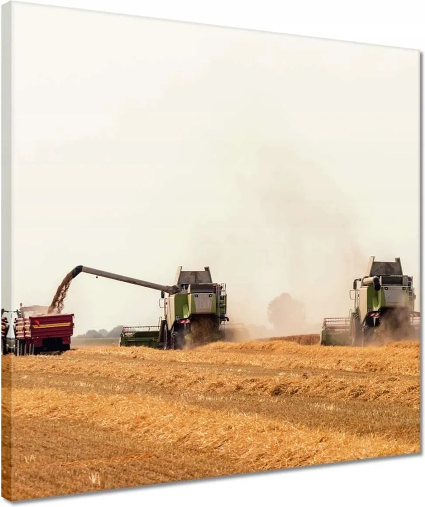 Vászonkép 40x40 Kombájn a gabona betakarításához