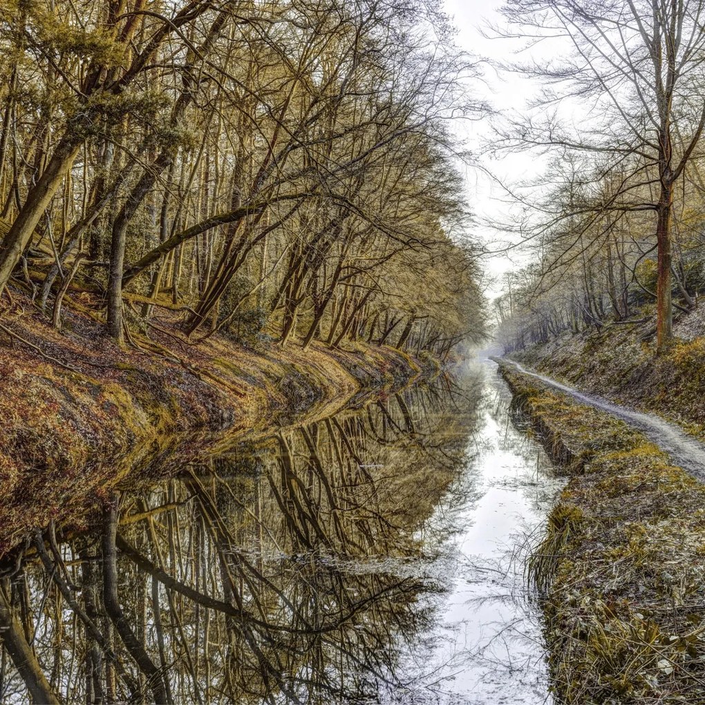 Poszter 50x50cm Csatorna az erdőben, Assaf Frank