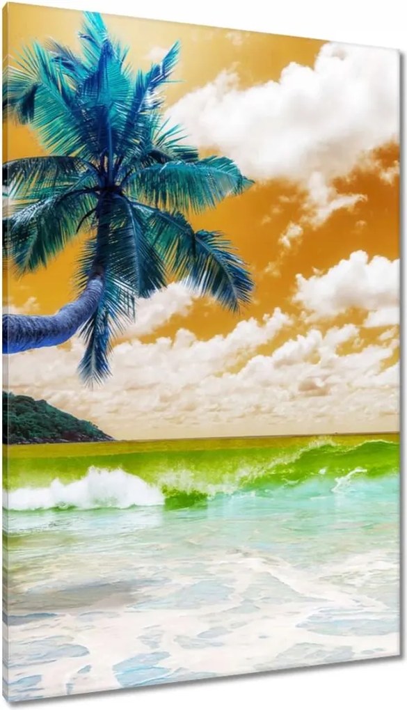 Vászonkép 80x120 Trópusok Tájkép Pálma
