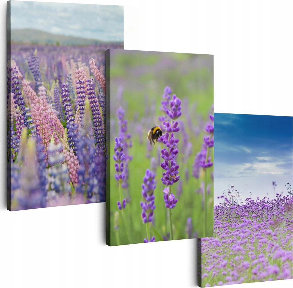 Vászonkép 150 cm **többféle minta** Nappali Képek Triptichon Virágok