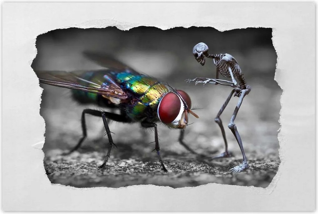 Poszterek 120x80 HardCore Design Photo Hc