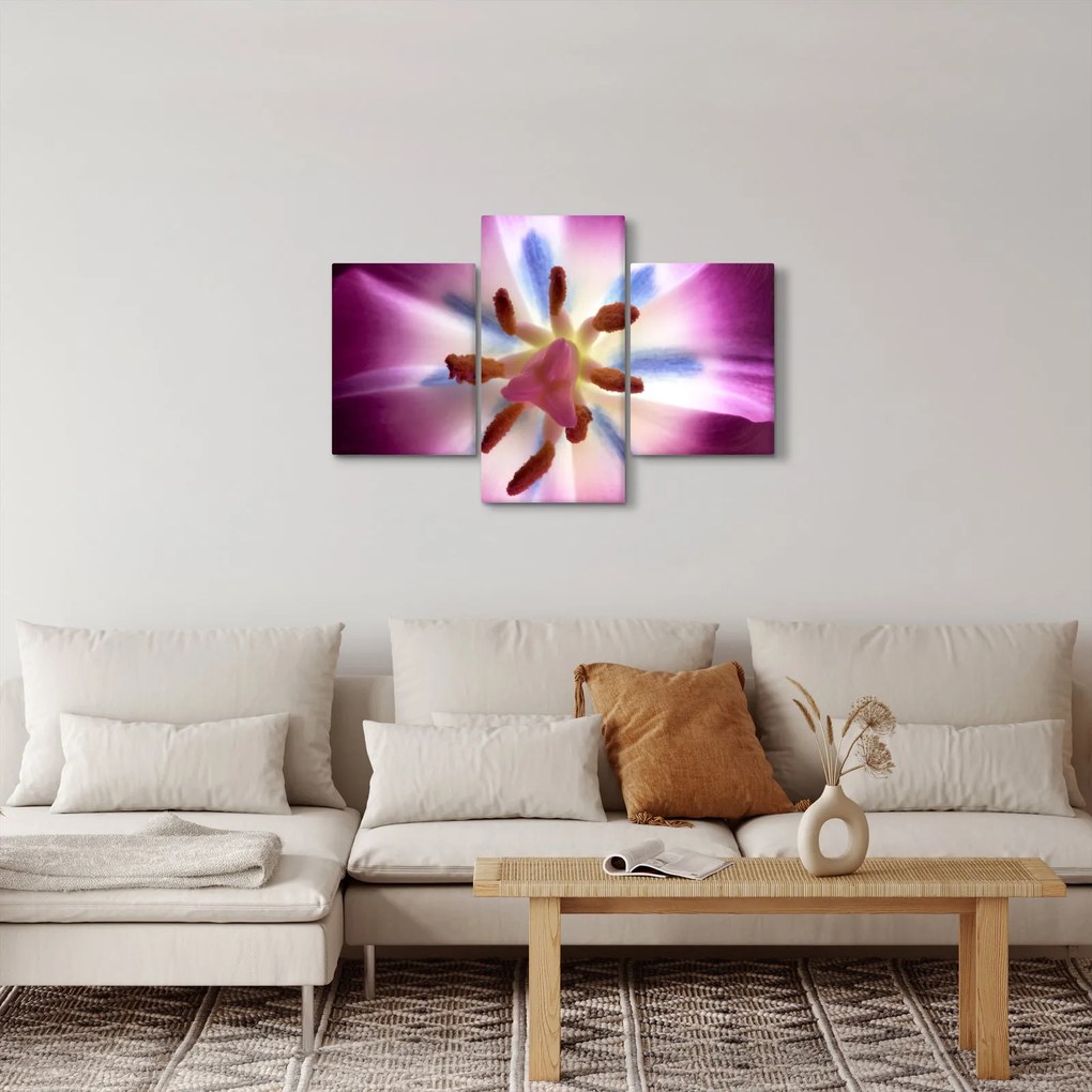 Kép - Tulipán virág részletesen (90x60 cm)