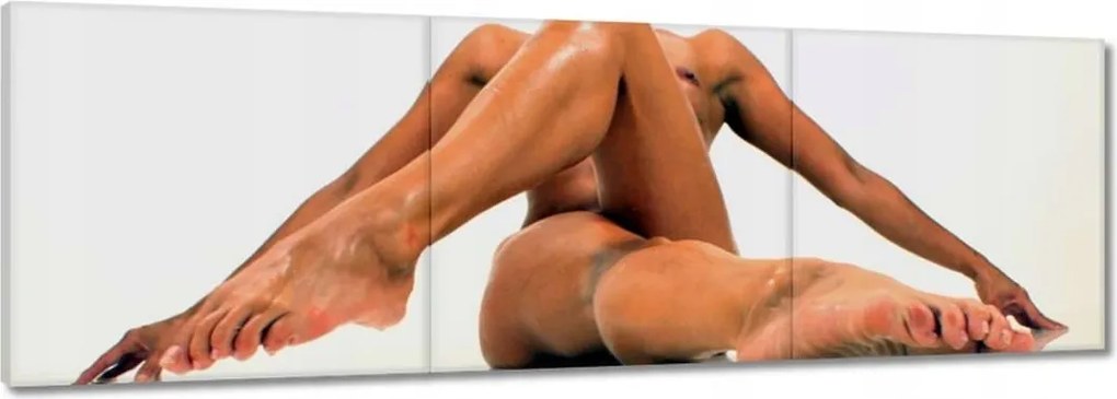 Vászonkép 90x30 Meztelenség rendben van