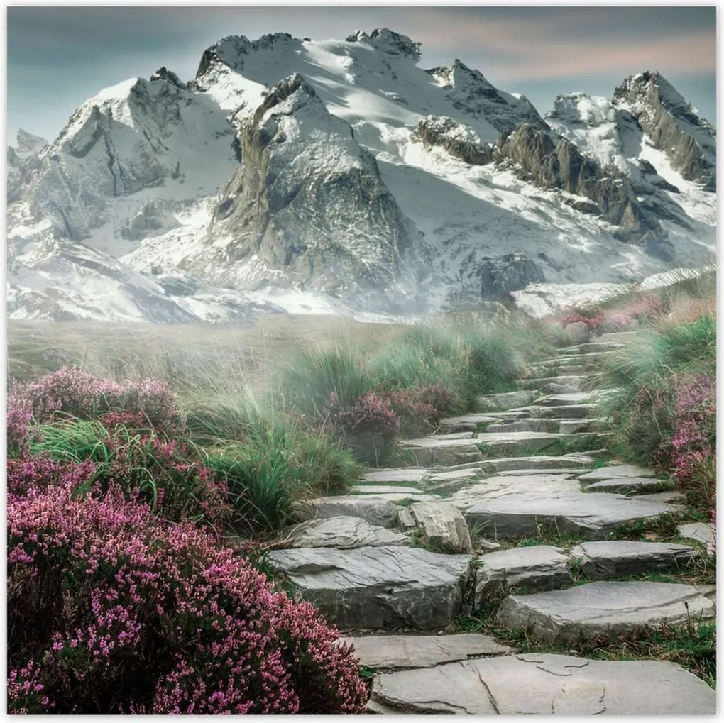 Plakátok 140x140 Hegyi kilátás Táj Köd