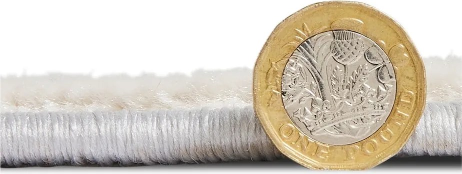 Szürke-bézs szőnyeg 220x160 cm Apollo - Think Rugs