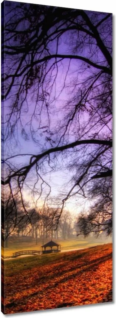 Vászonkép 40x100 Bajusz park