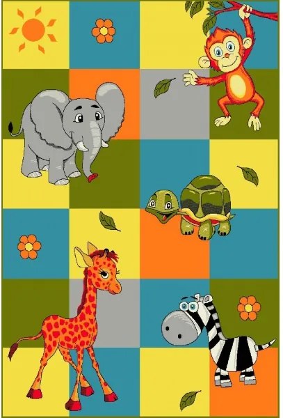 Kolibri szőnyeg 11379-120