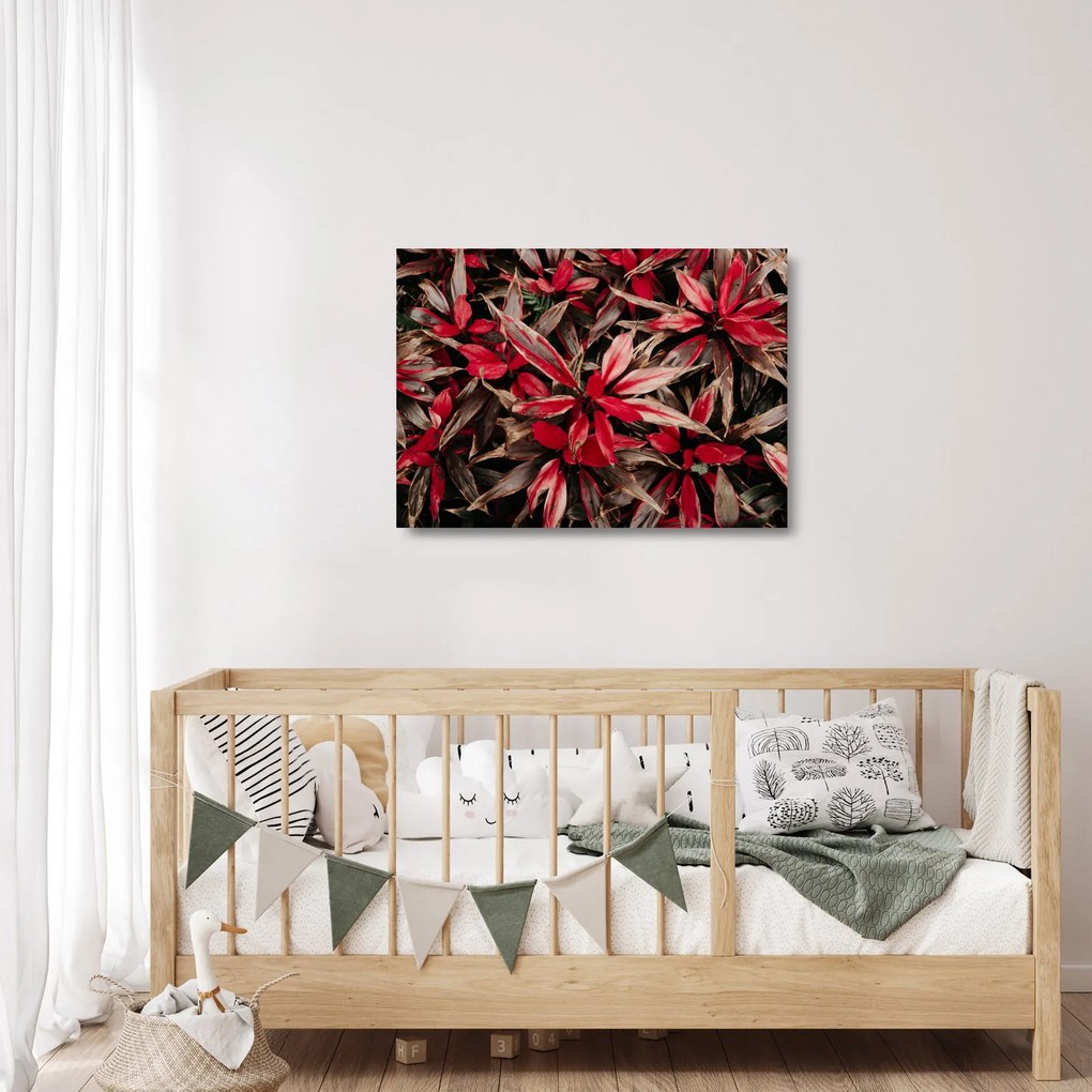 Piros szirmok képe (üvegen) (70x50 cm)