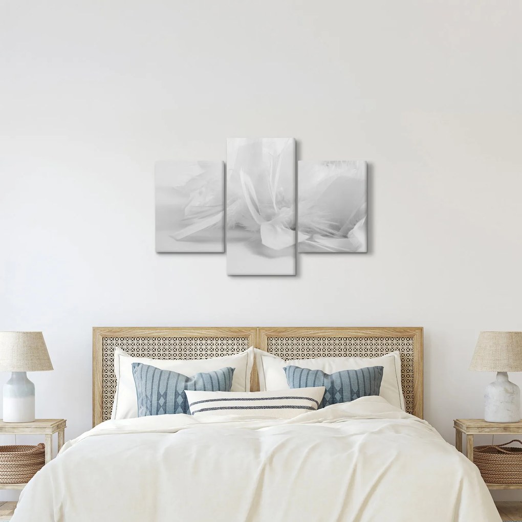 Kép - Tollak (90x60 cm)