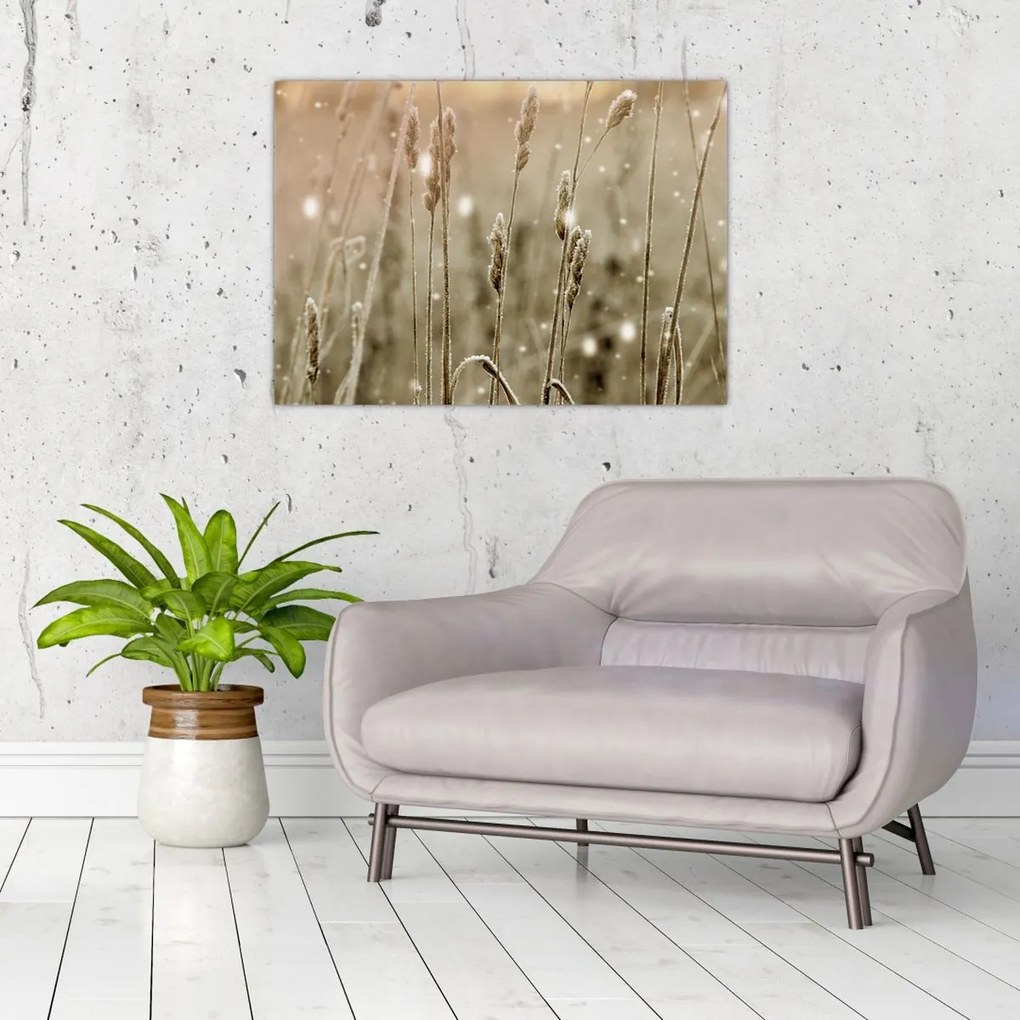 Üveg kép - Harmonikus rét (70x50 cm)