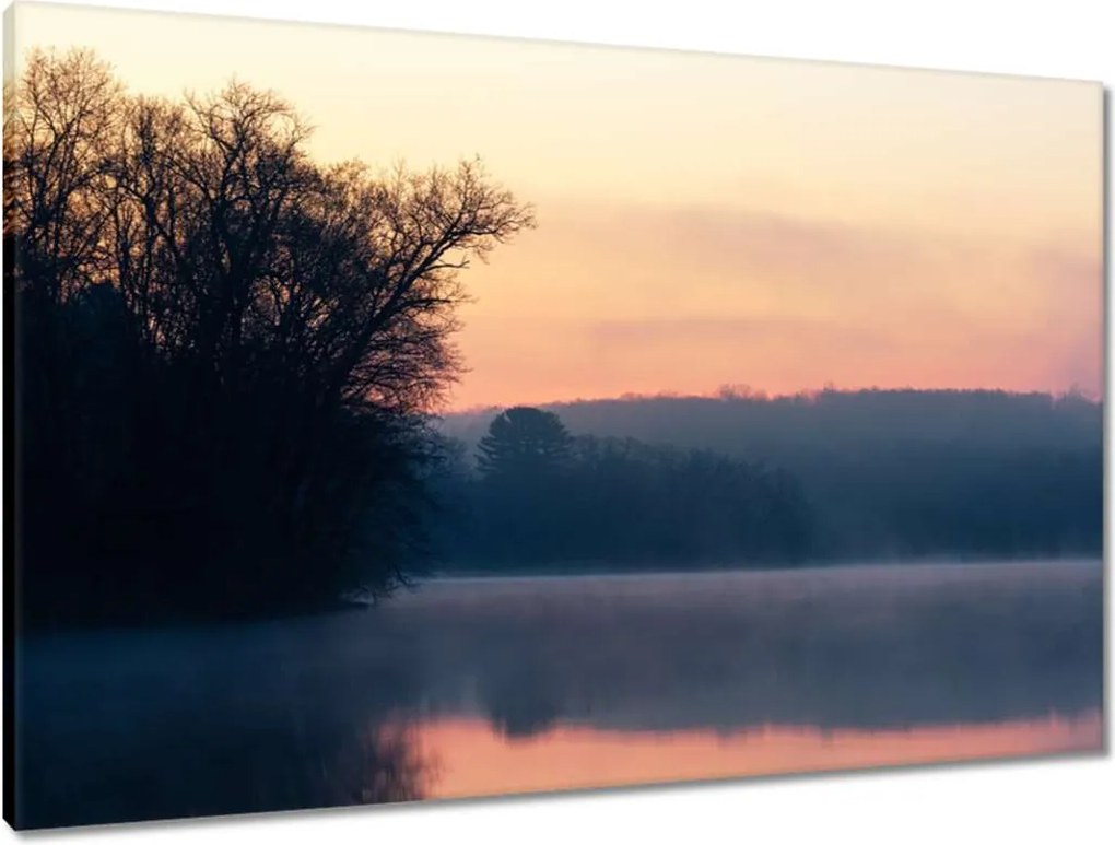 Vászonkép 90x60 Tél Köd Erdő Tó