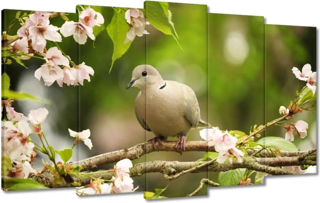 Vászonkép 100x60 Madarak