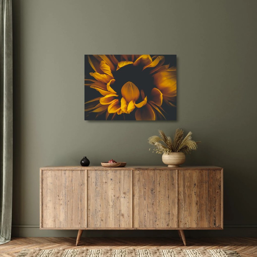 Üveg kép - Napraforgó fekete háttérben (70x50 cm)