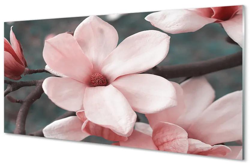 Üvegképek rózsaszín virágok 140x70 cm
