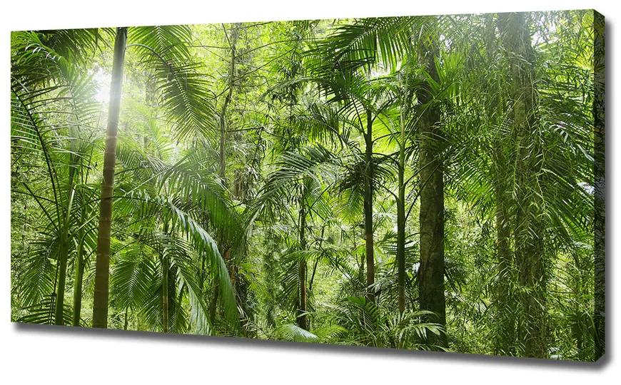 Egyedi vászonkép Trópusi erdő pl-oc-120x60-f-72098525