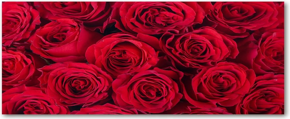 Edzett üveg panel a szekrények között Rózsa XXL