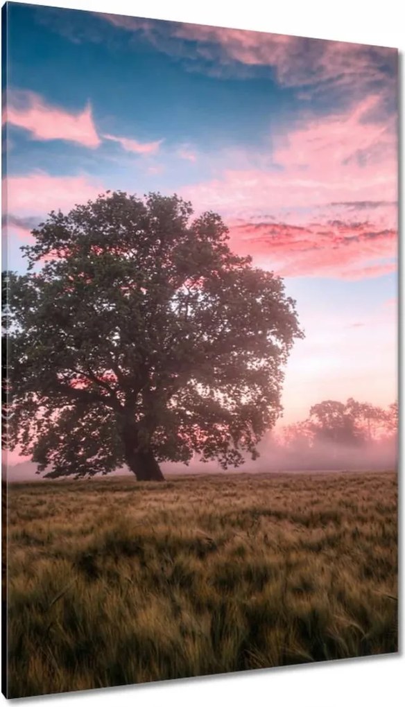 Vászonkép 80x120 Candy tájkép Köd