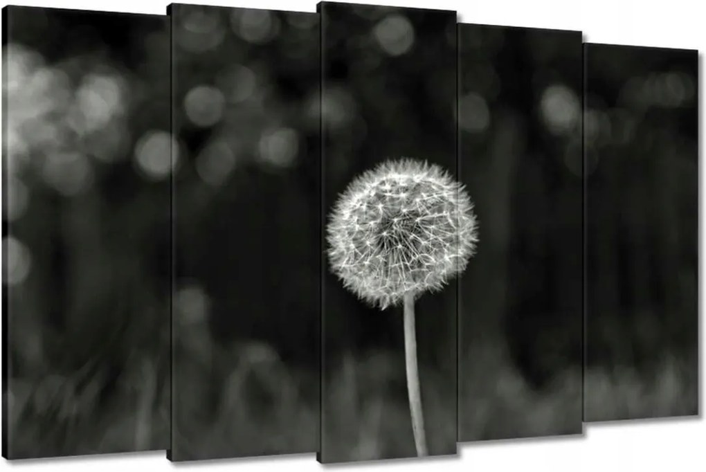 Vászonkép 150x95 Pitypang Virág Makro