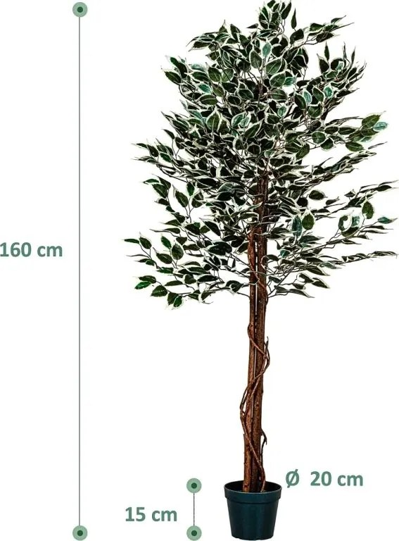 PLANTASIA Műnövény fikusz 160 cm